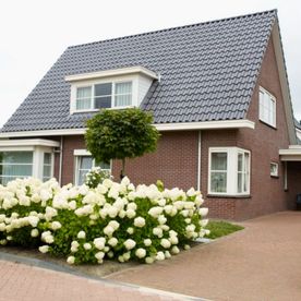 Bouwbedrijf Maneschijn bv woningen